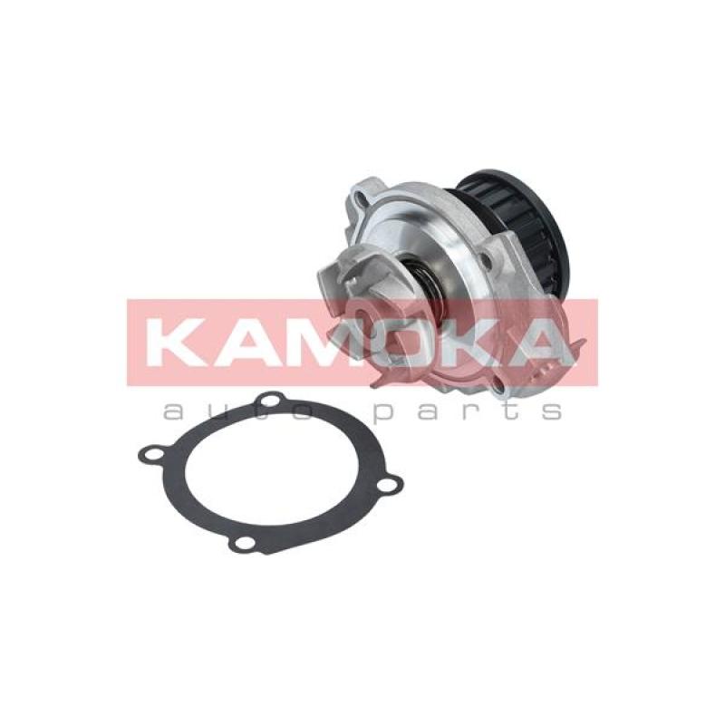 Pompe à eau KAMOKA T0117 - Visuel 2