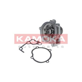 Pompe à eau KAMOKA T0170