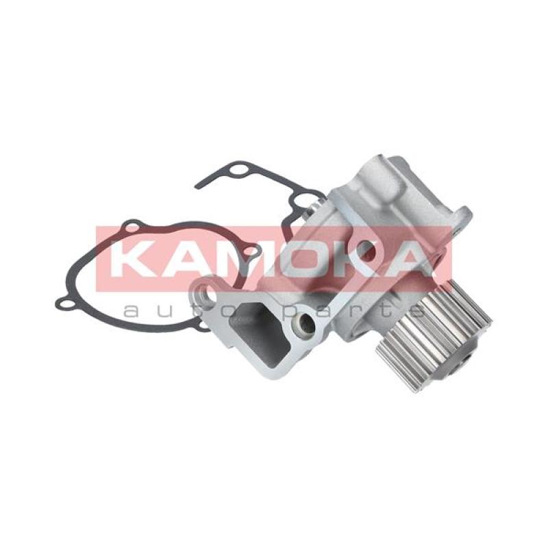 Pompe à eau KAMOKA T0170 - Visuel 1