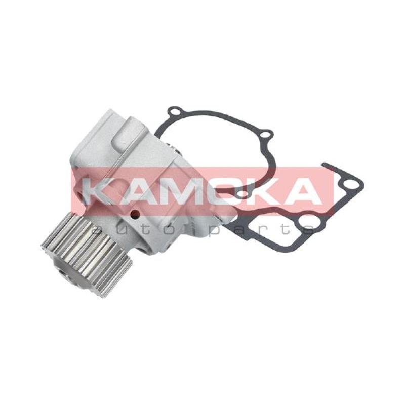 Pompe à eau KAMOKA T0170 - Visuel 2