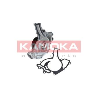 Pompe à eau KAMOKA T0195