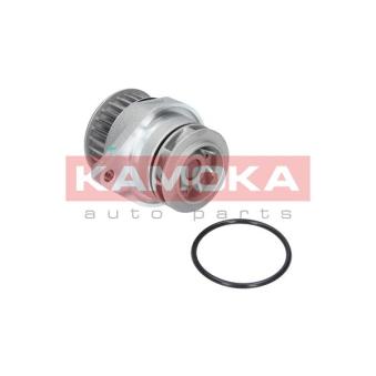 Pompe à eau KAMOKA T0249