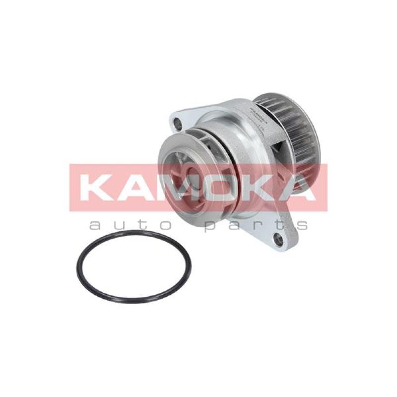 Pompe à eau KAMOKA T0249 - Visuel 1