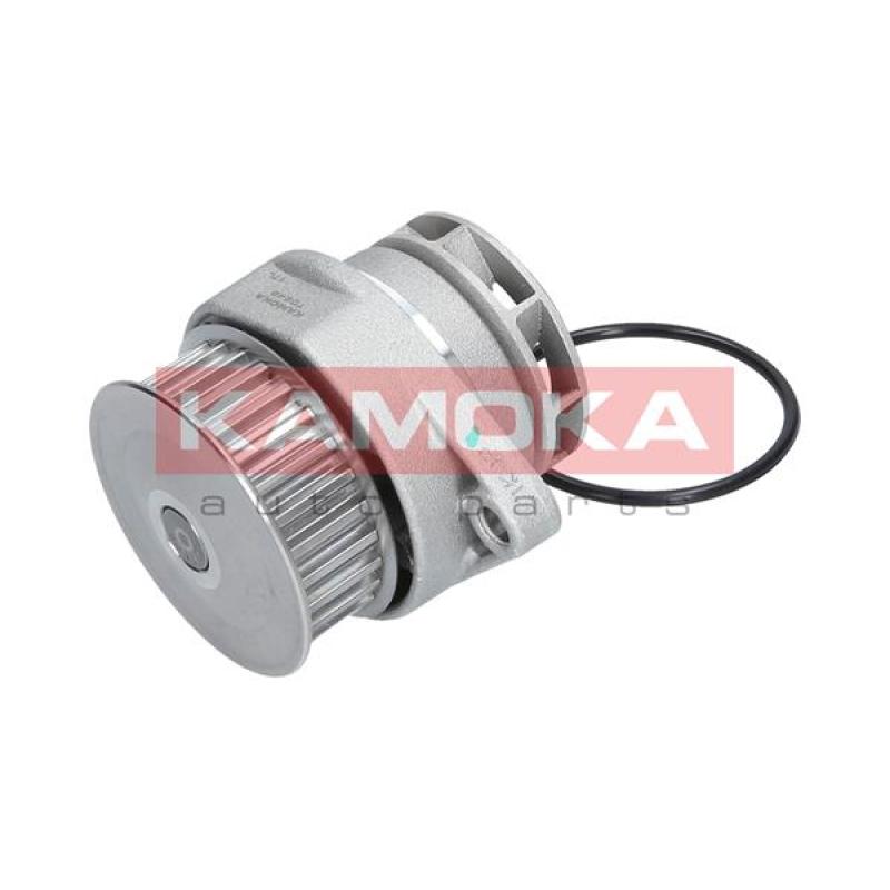 Pompe à eau KAMOKA T0249 - Visuel 3