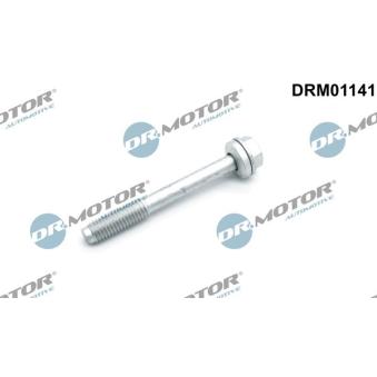 Vis, support pour controleur d'injecteurs Dr.Motor DRM01141