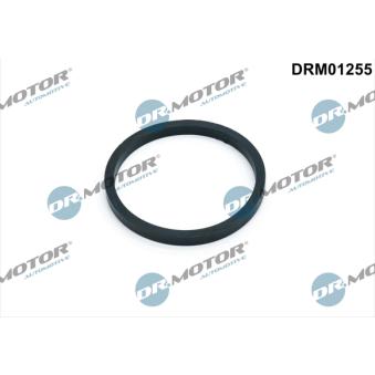 Joint, radiateur d'huile Dr.Motor