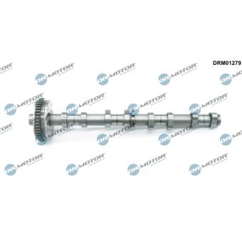 Arbre à came Dr.Motor