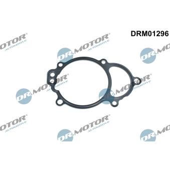 Joint, réglage d'arbre à cames Dr.Motor