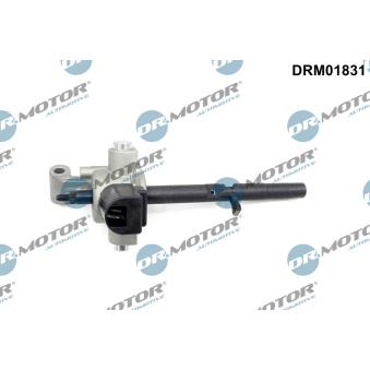 Pommeau Dr.Motor DRM01831
