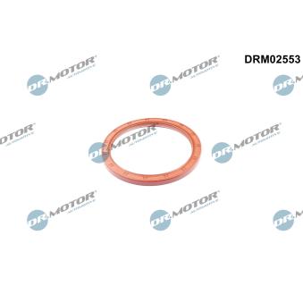 Bague d'étanchéité, vilebrequin Dr.Motor