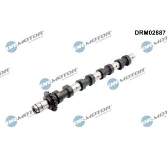 Arbre à came Dr.Motor