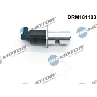 Vanne EGR Dr.Motor