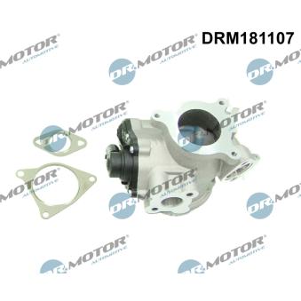 Vanne EGR Dr.Motor