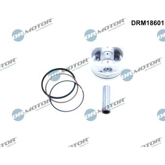 Piston Dr.Motor DRM18601