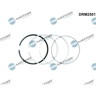 Jeu de segments de pistons Dr.Motor DRM2501
