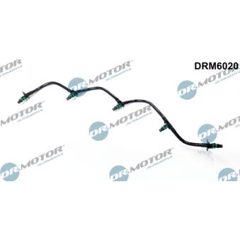 Tuyau, carburant de fuite Dr.Motor