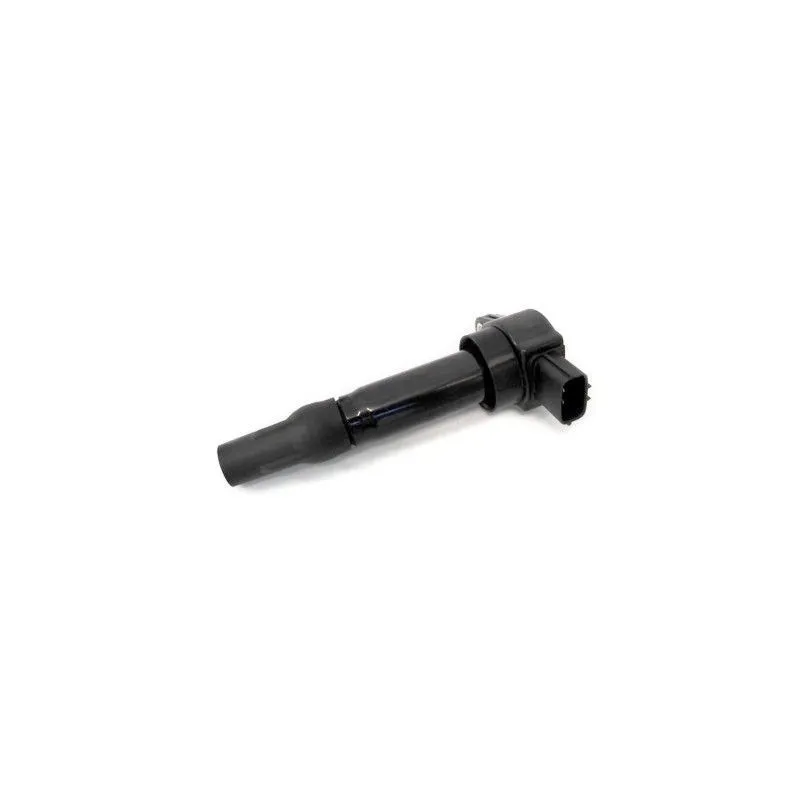Bobine d'allumage MEAT & DORIA 10607