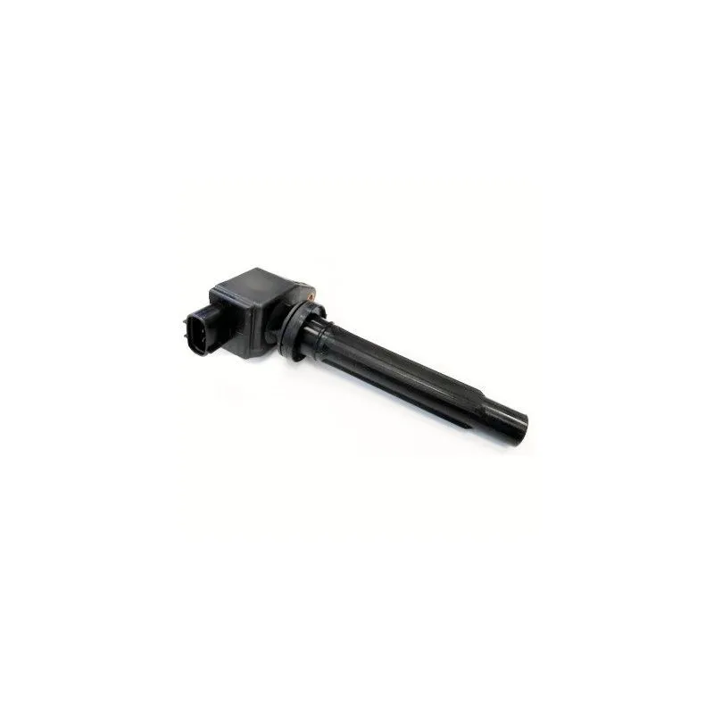 Bobine d'allumage MEAT & DORIA 10629