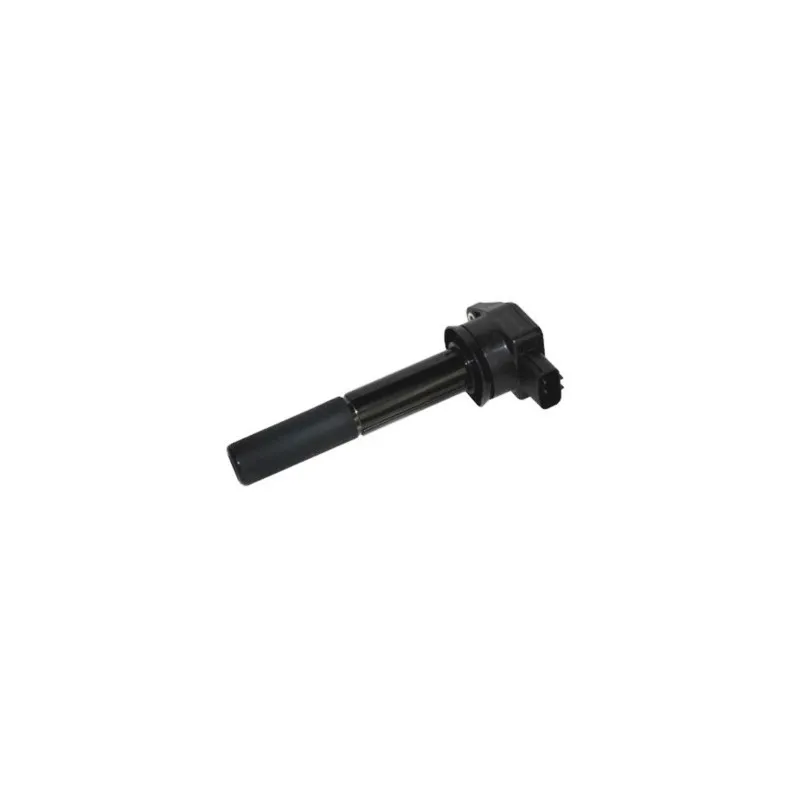 Bobine d'allumage MEAT & DORIA 10670