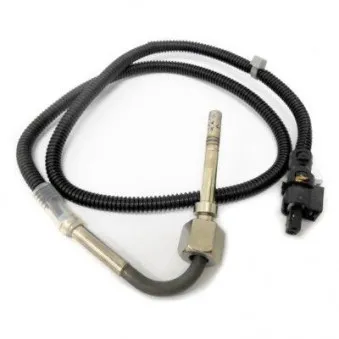 Capteur, température des gaz MEAT & DORIA 12113E