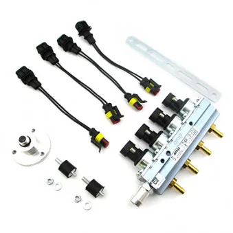 Injecteur MEAT & DORIA 13063