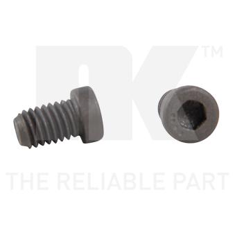 Vis, disque de frein NK