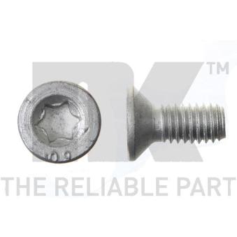 Vis, disque de frein NK