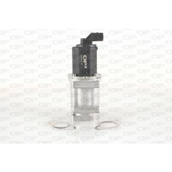 Vanne EGR OPEN PARTS