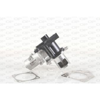 Vanne EGR OPEN PARTS