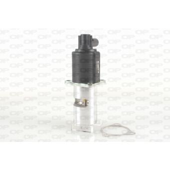 Vanne EGR OPEN PARTS