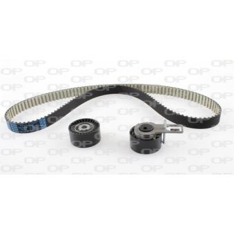 Kit de distribution OPEN PARTS TBK5160.11