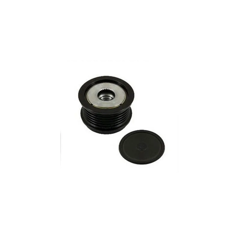 Poulie roue libre, alternateur MEAT & DORIA 45231