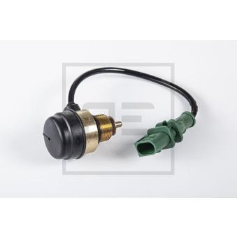 Interrupteur PE Automotive 016.780-00A