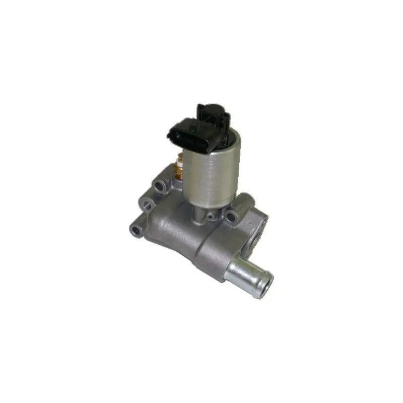 Vanne EGR MEAT & DORIA 88002B