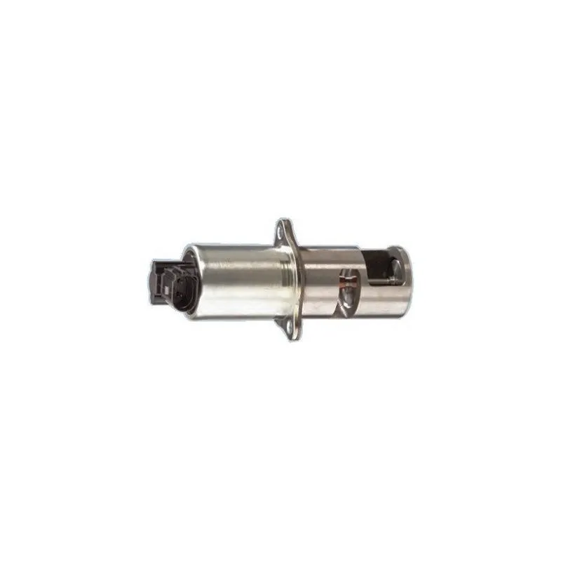 Vanne EGR MEAT & DORIA 88011B