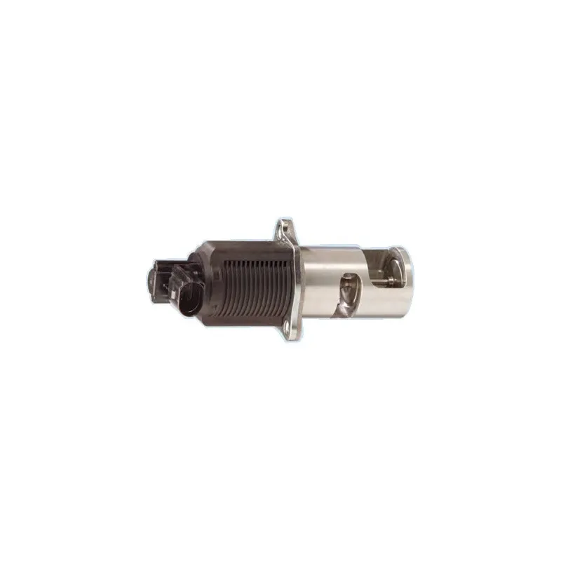 Vanne EGR MEAT & DORIA 88013