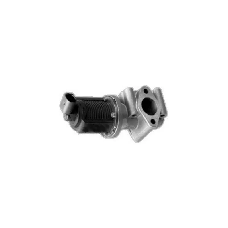 Vanne EGR MEAT & DORIA 88015R