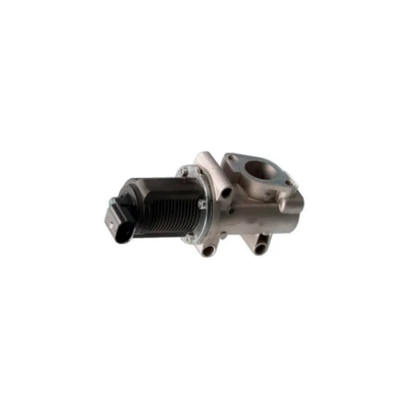 Vanne EGR MEAT & DORIA 88016B
