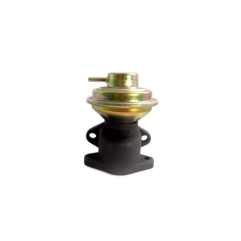 Vanne EGR MEAT & DORIA 88032