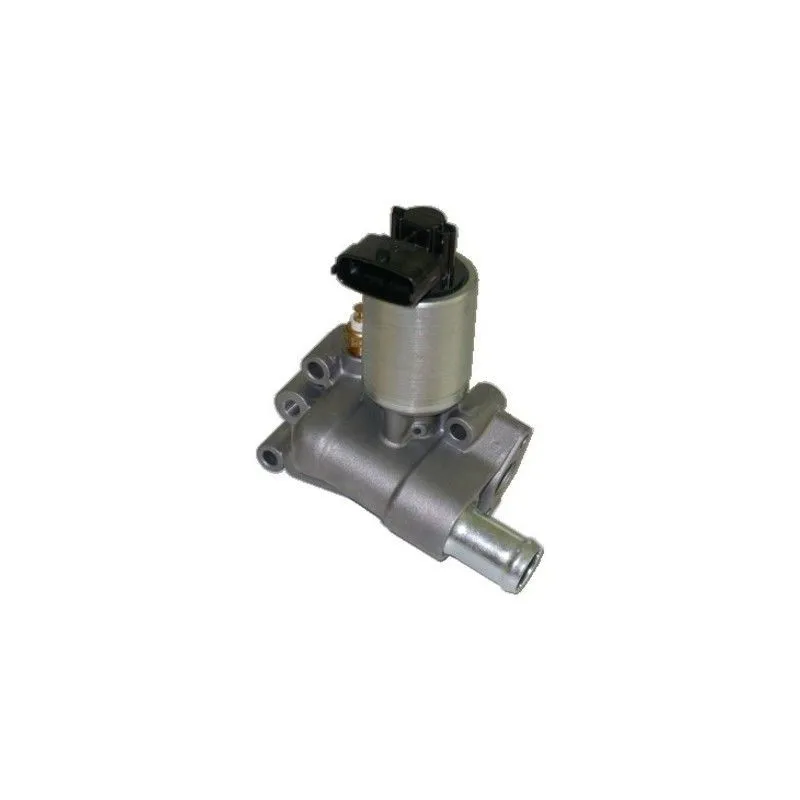 Vanne EGR MEAT & DORIA 88045E