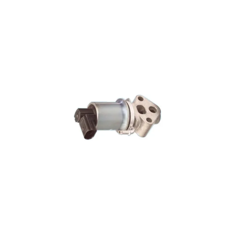 Vanne EGR MEAT & DORIA 88050