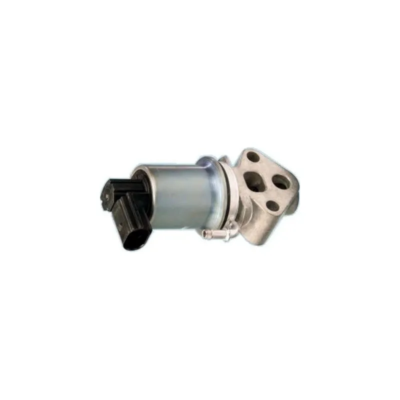 Vanne EGR MEAT & DORIA 88050B