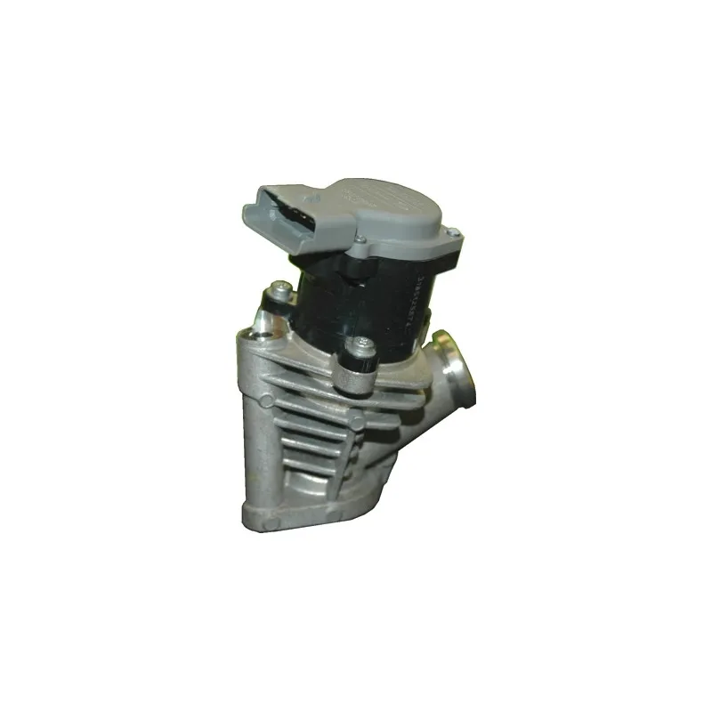 Vanne EGR MEAT & DORIA 88080