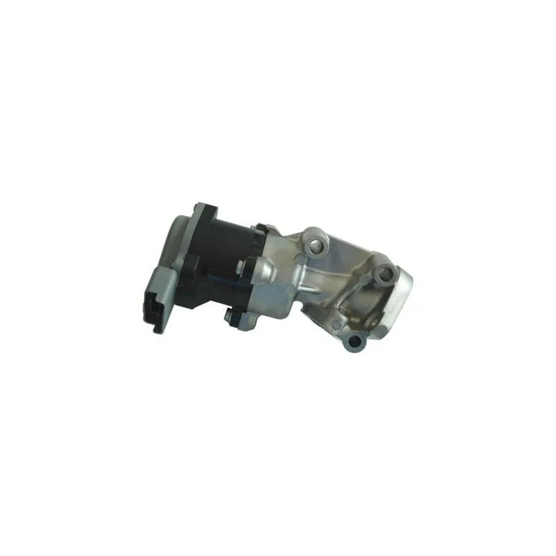 Vanne EGR MEAT & DORIA 88082R