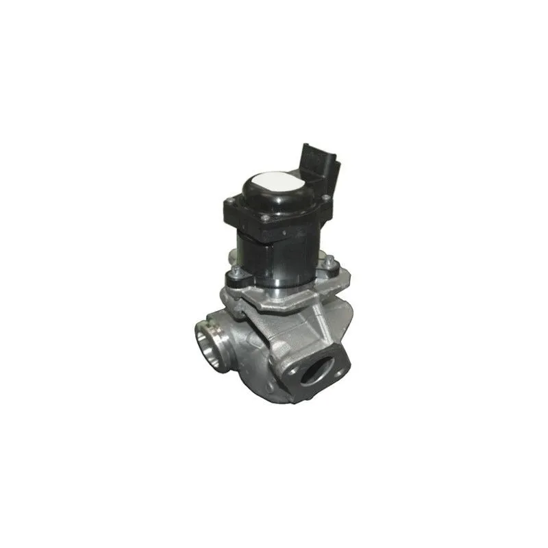 Vanne EGR MEAT & DORIA 88086R