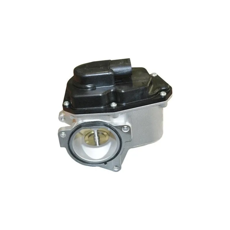 Vanne EGR MEAT & DORIA 88087R