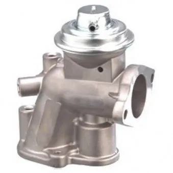 Vanne EGR MEAT & DORIA 88106R