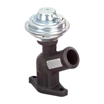 Vanne EGR MEAT & DORIA 88107
