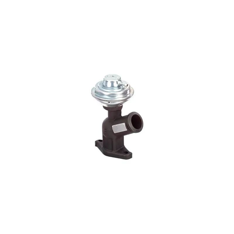 Vanne EGR MEAT & DORIA 88107