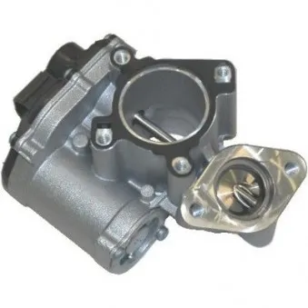 Vanne EGR MEAT & DORIA 88110R